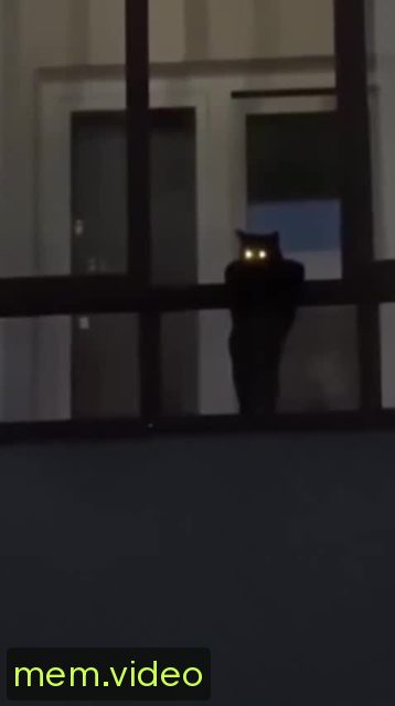 Кадр на 0:04