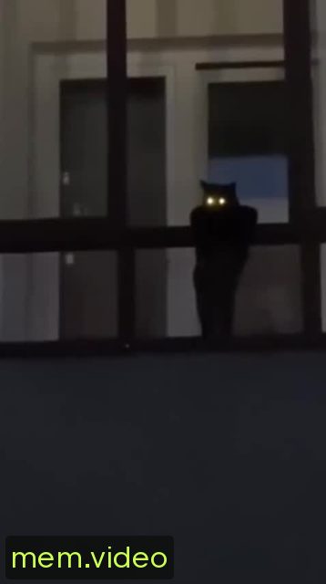 Кадр на 0:05