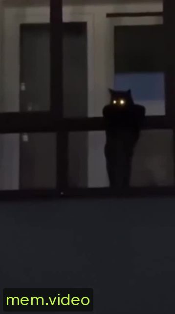 Кадр на 0:06