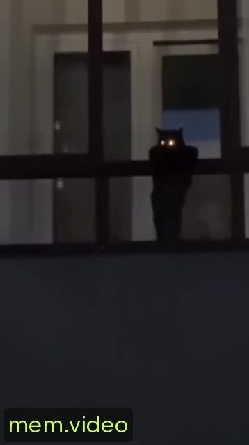 Кадр на 0:07