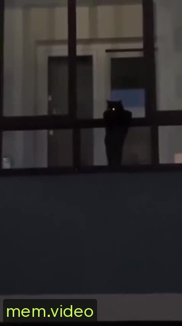Кадр на 0:08