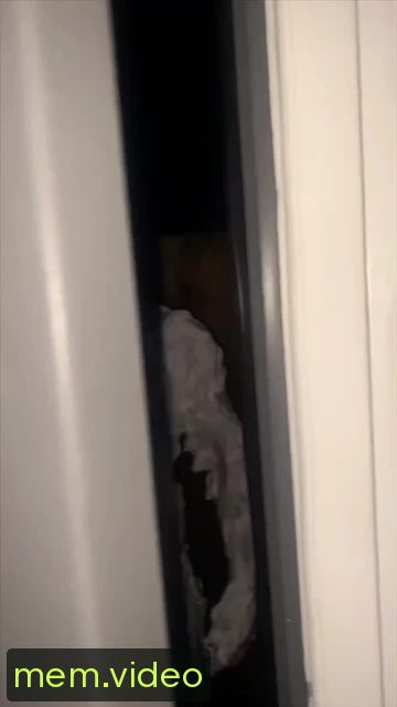 Кадр на 0:00