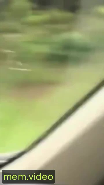 Кадр на 0:00