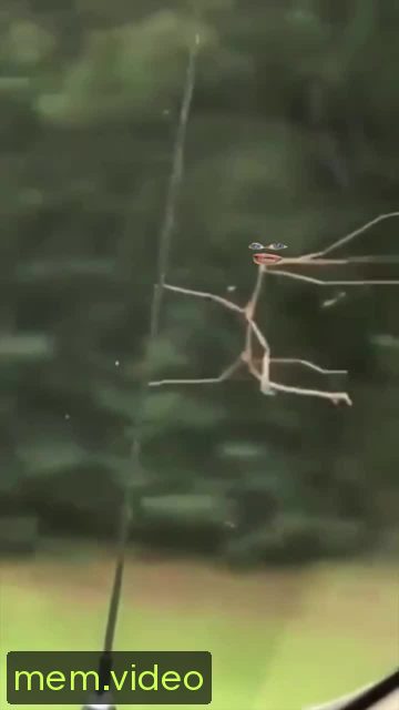 Кадр на 0:04
