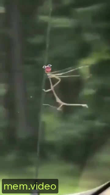 Кадр на 0:11