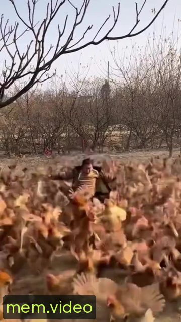 Кадр на 0:01