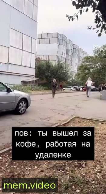 Кадр на 0:00