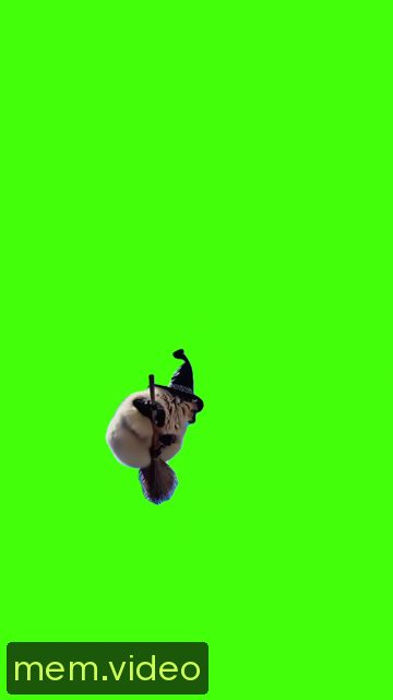 Кадр на 0:03
