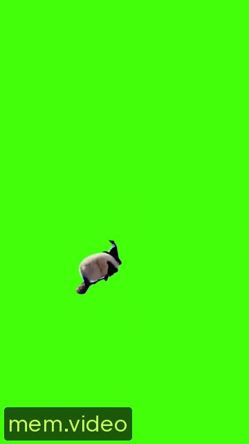 Кадр на 0:03