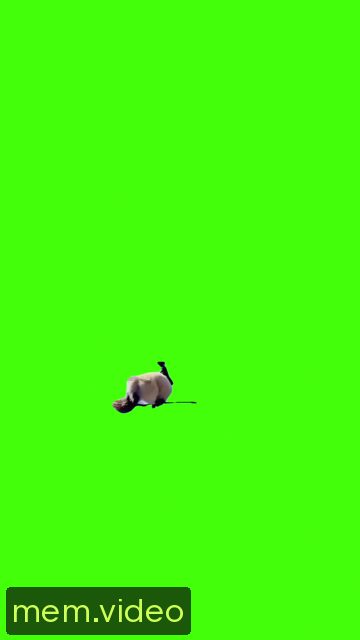 Кадр на 0:04