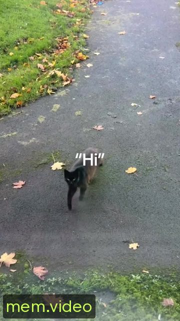 Кадр на 0:05