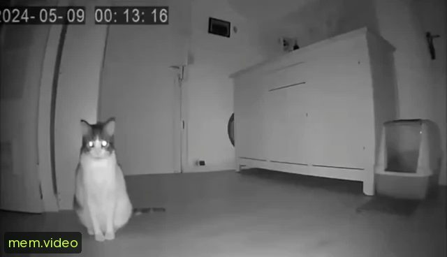 Кадр на 0:00