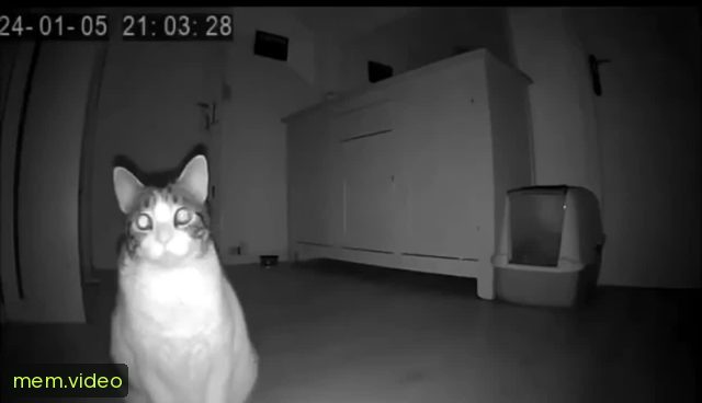 Кадр на 0:00