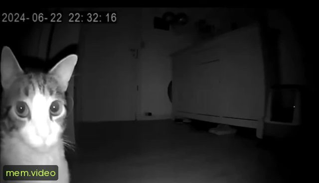 Кадр на 0:04