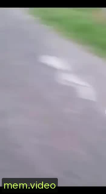 Кадр на 0:00