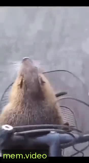 Кадр на 0:01
