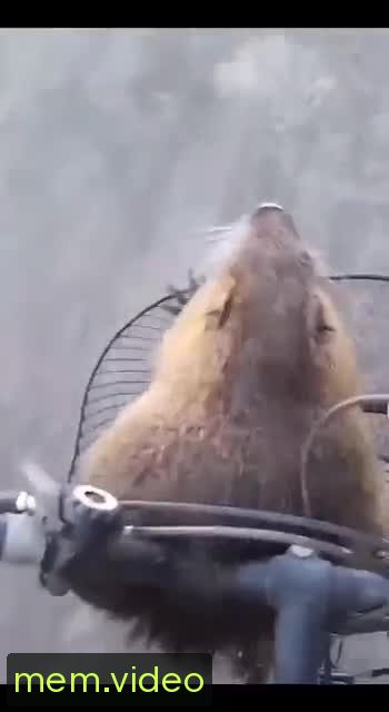 Кадр на 0:01