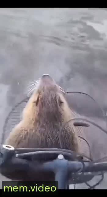 Кадр на 0:03
