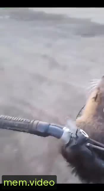 Кадр на 0:03