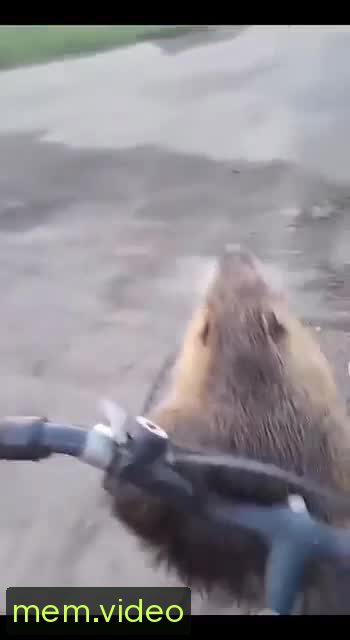 Кадр на 0:04