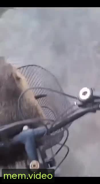 Кадр на 0:06