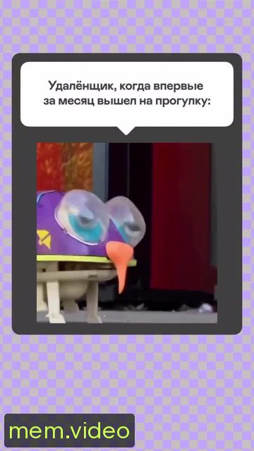 Кадр на 0:00