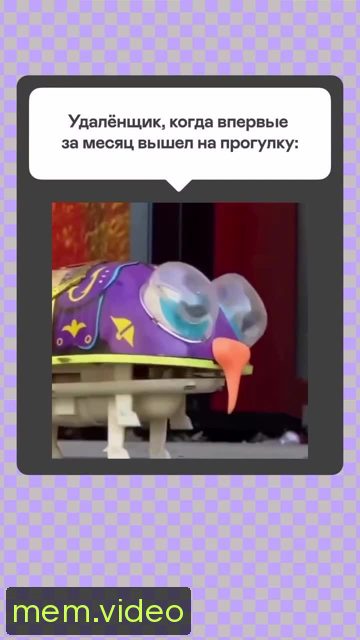Кадр на 0:00