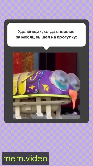 Кадр на 0:01