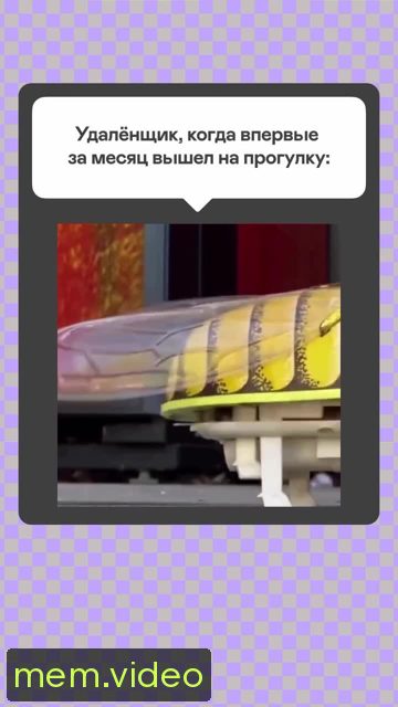 Кадр на 0:02