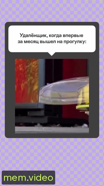 Кадр на 0:03
