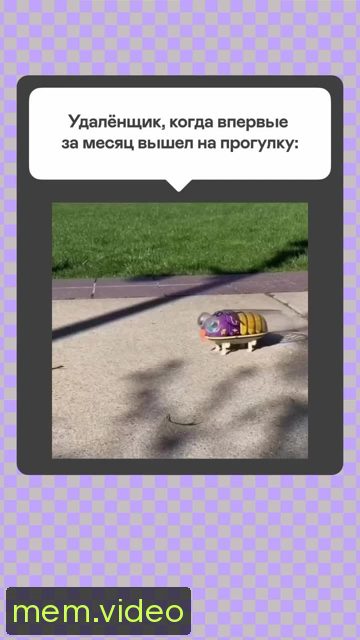 Кадр на 0:04