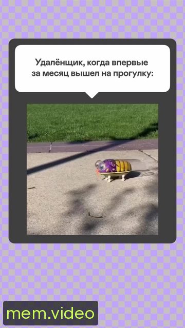 Кадр на 0:05