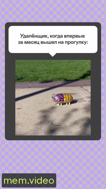 Кадр на 0:05