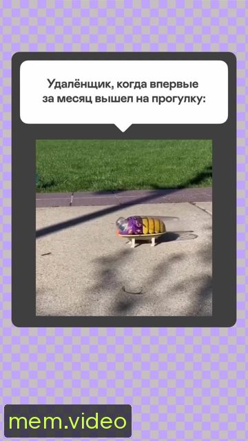 Кадр на 0:06