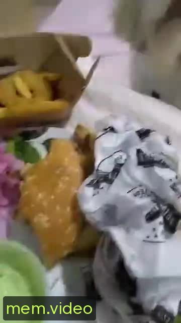 Кадр на 0:00