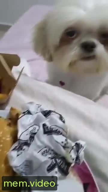 Кадр на 0:00