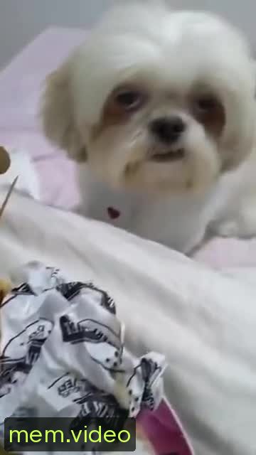 Кадр на 0:01