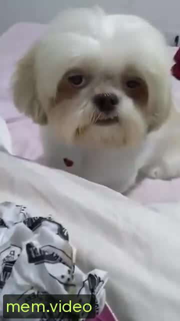 Кадр на 0:02