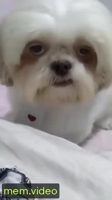 Кадр на 0:02