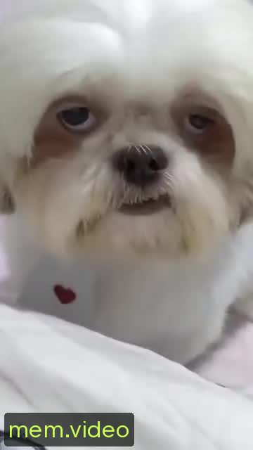 Кадр на 0:03