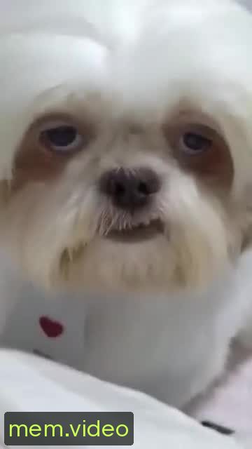 Кадр на 0:04
