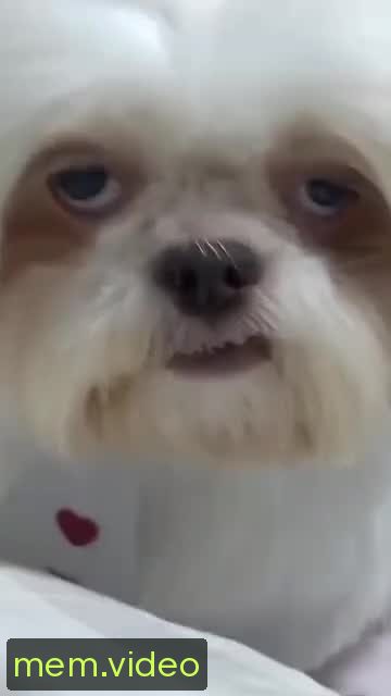 Кадр на 0:04