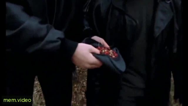 Кадр на 0:12