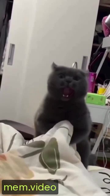 Кадр на 0:03