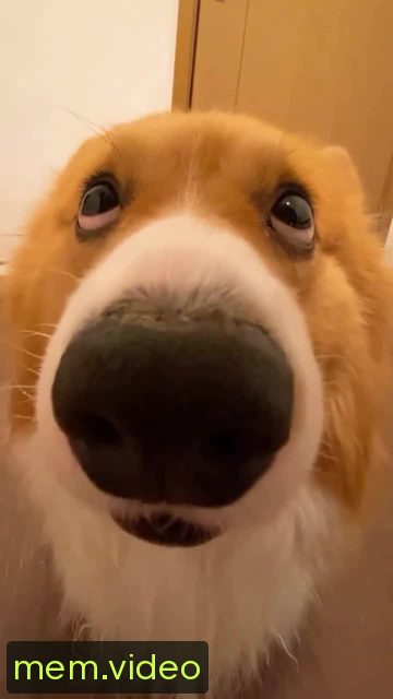 Кадр на 0:01