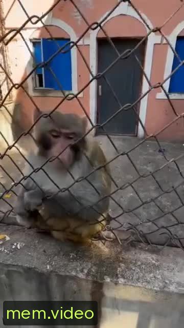 Кадр на 0:00