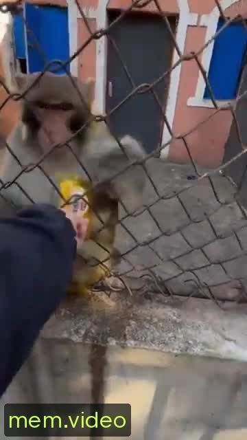 Кадр на 0:01