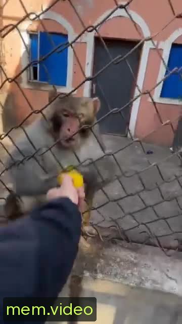 Кадр на 0:06