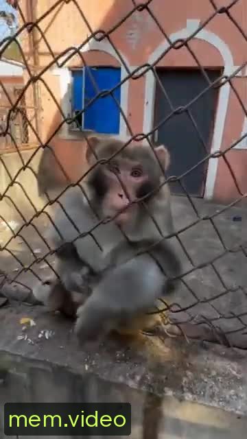 Кадр на 0:09