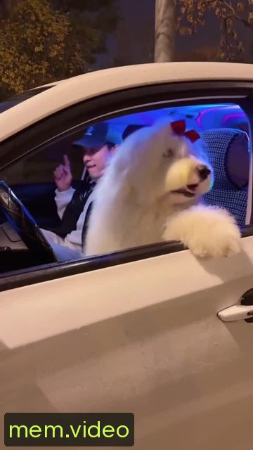 Кадр на 0:00